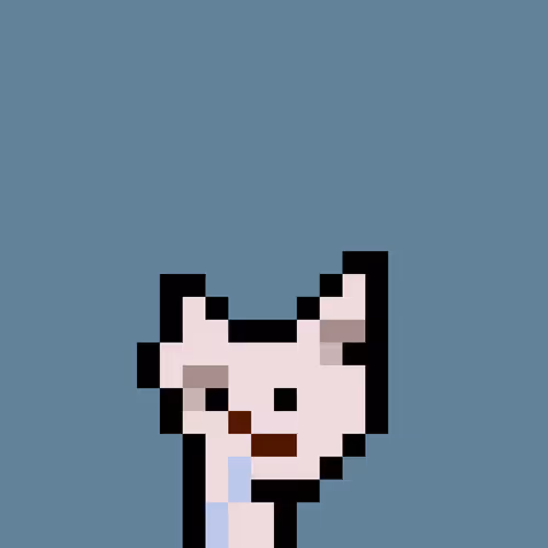 Pnuks 1