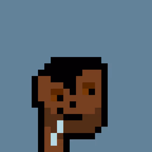 Pnuks 1