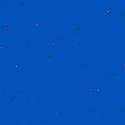 Confetti Animation #81
