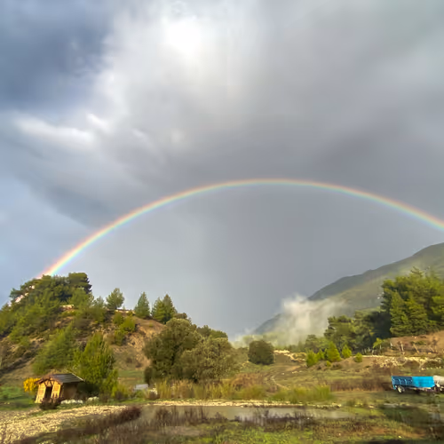 Rainbow Show