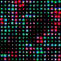 BubbleCode #5943