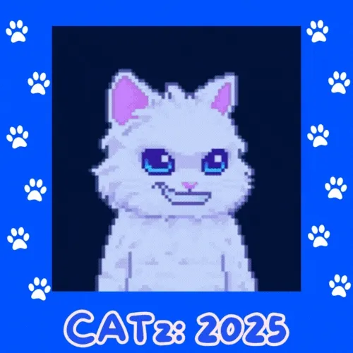 CATz: 2025