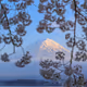 Mount Fuji - Burning