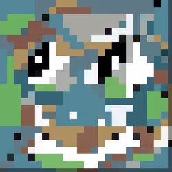 135