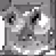 197