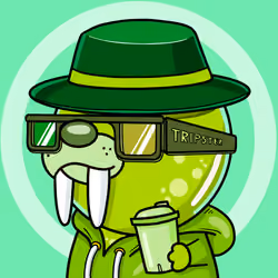 Tripster x Wally Base #150
