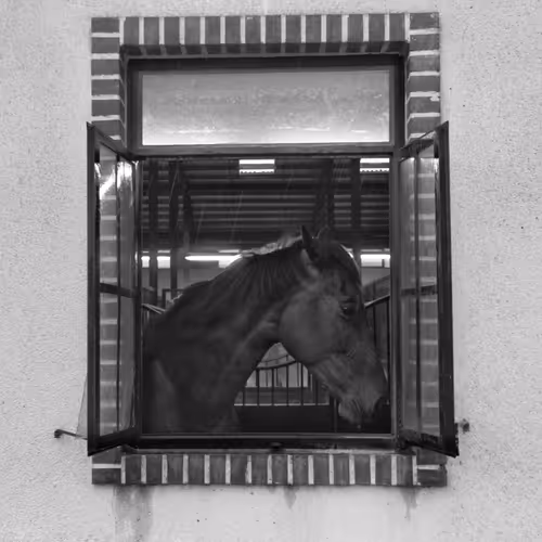 Framed In Silence