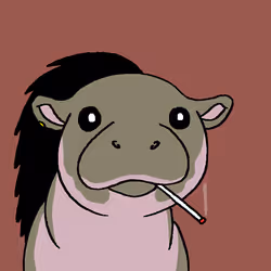 658