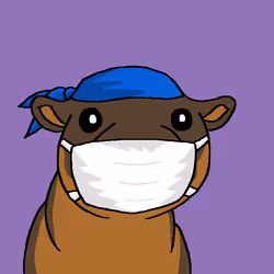 517
