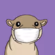355