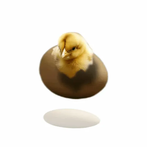 Item #17 Media