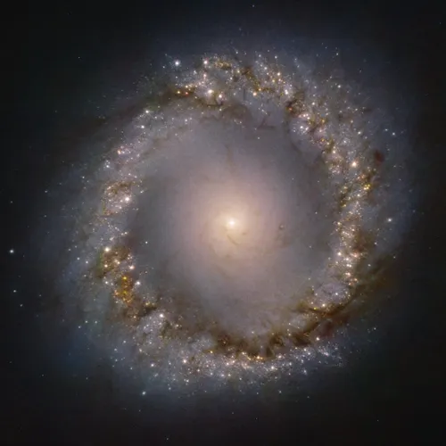 The Galaxy 7