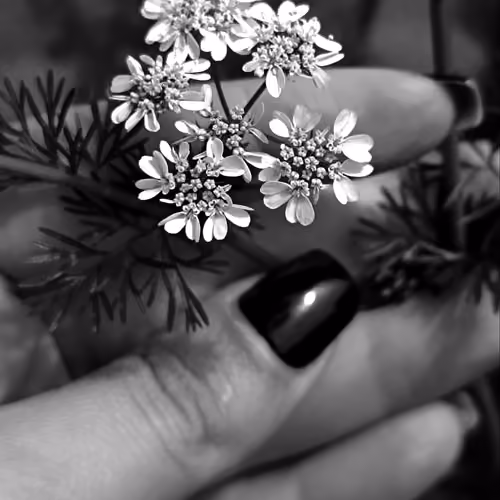 Nature's Hidden Gems #39
