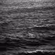 WNoir. Sl