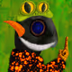 501