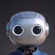 PANDA-1P