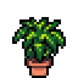 Fern