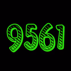Your digits #9561