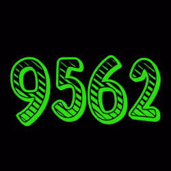 Your digits #9562