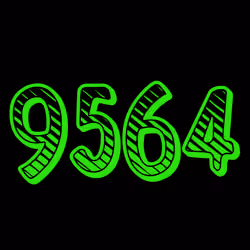 Your digits #9564