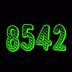 Your digits #8542