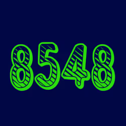 Your digits #8548