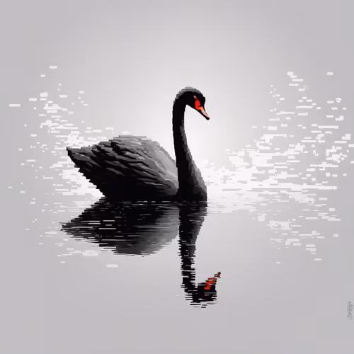 BlackSwan 🖤