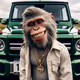 A young monkey