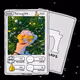 far.cards - floring1018