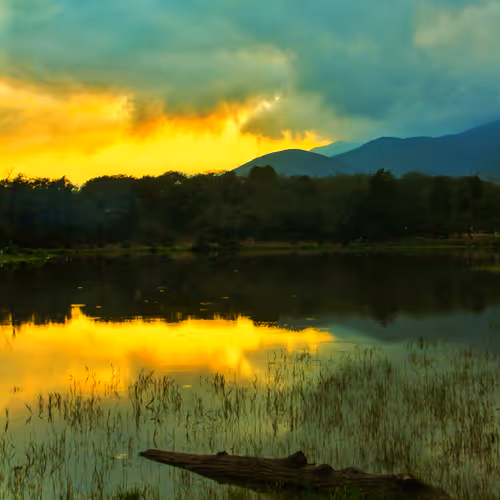 Sunset 1167