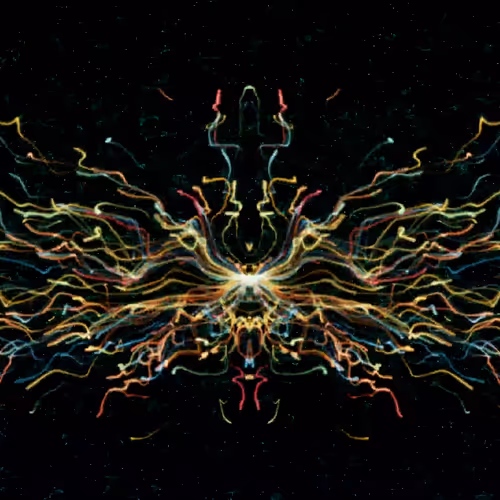 Shamanistic Dude Art