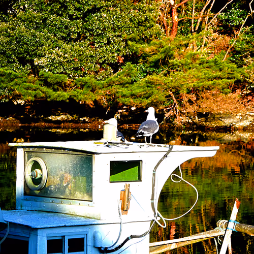 Photos of everyday scenery