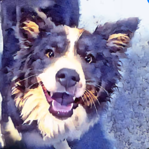 Border Pawtrait Perfection