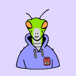 CodeCrusader_585