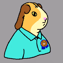 CapriSunJet