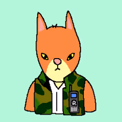 Item Media