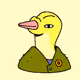20053