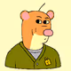 20054