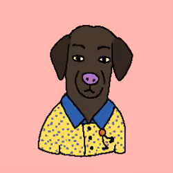 H@ppyC0der