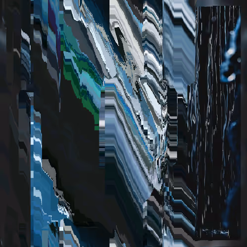 Xookt 1