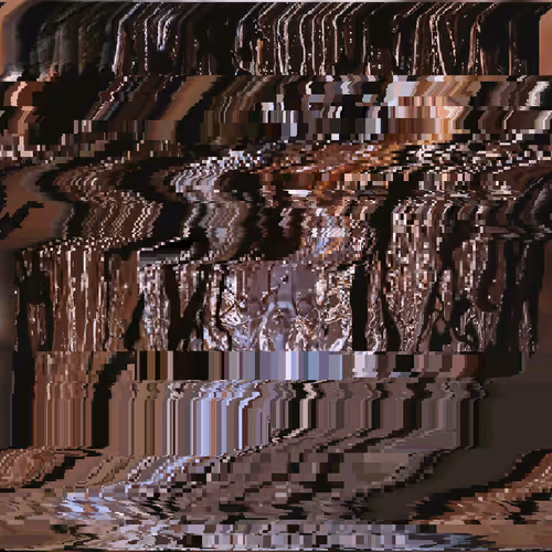 Xookt 1