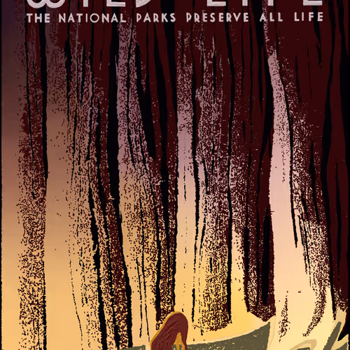 Wild Life The National Parks