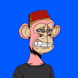 Base Ape YC #74