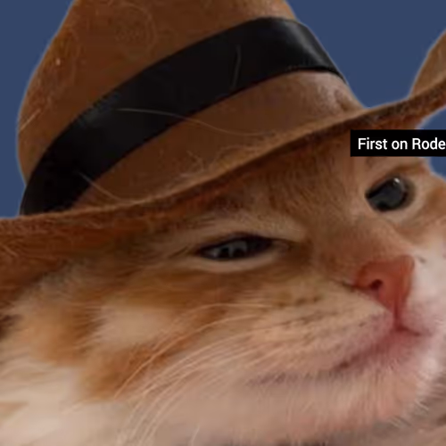 Rodeo posts