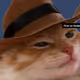 Rodeo posts