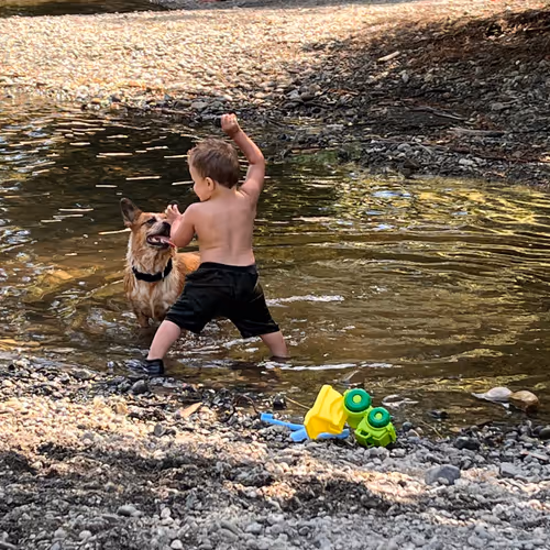 boy having fun with his best pet friend