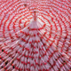 Manufactured Transendence