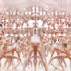 Manufactured Transendence