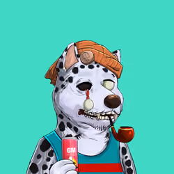 Shibe #1585