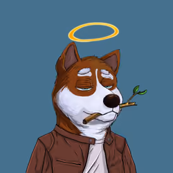 Shibe #1583